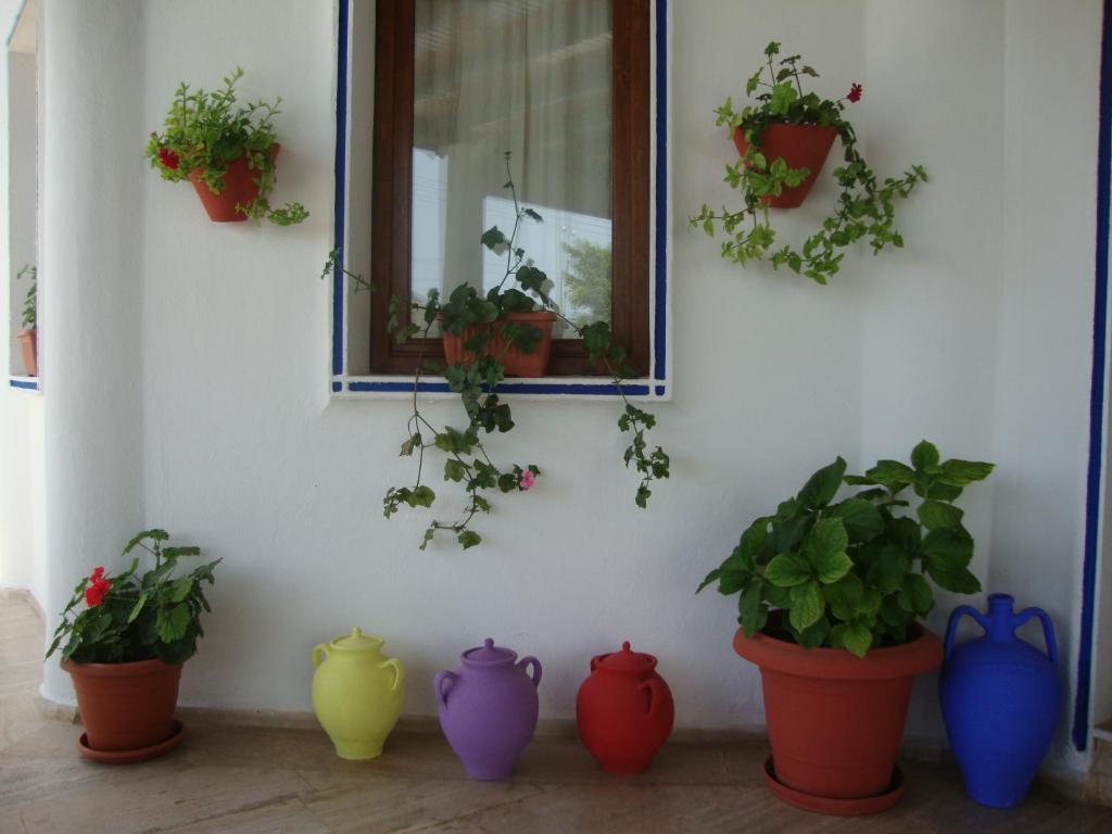 Eden Hotel Bodrum Bagian luar foto
